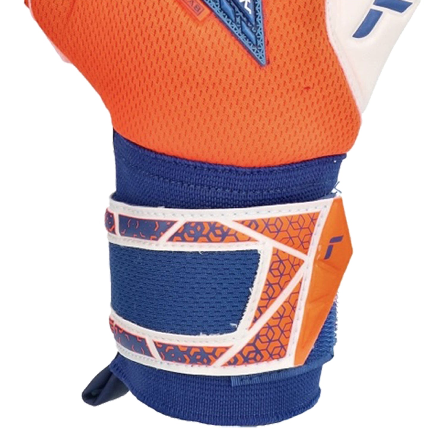 Guanti da portiere Attrakt Freegel Gold NC Junior