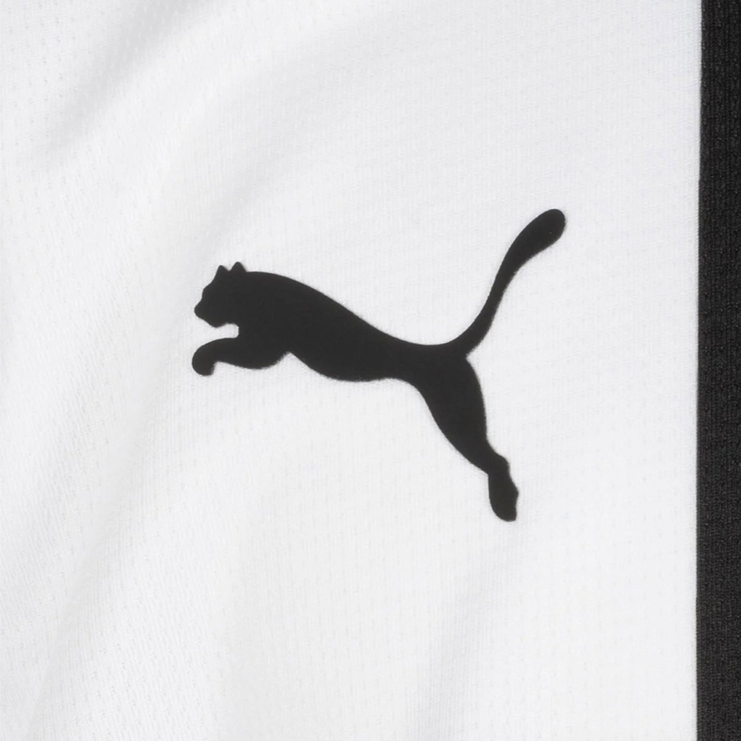 Parma 1a Maglia 24/25 Adulto