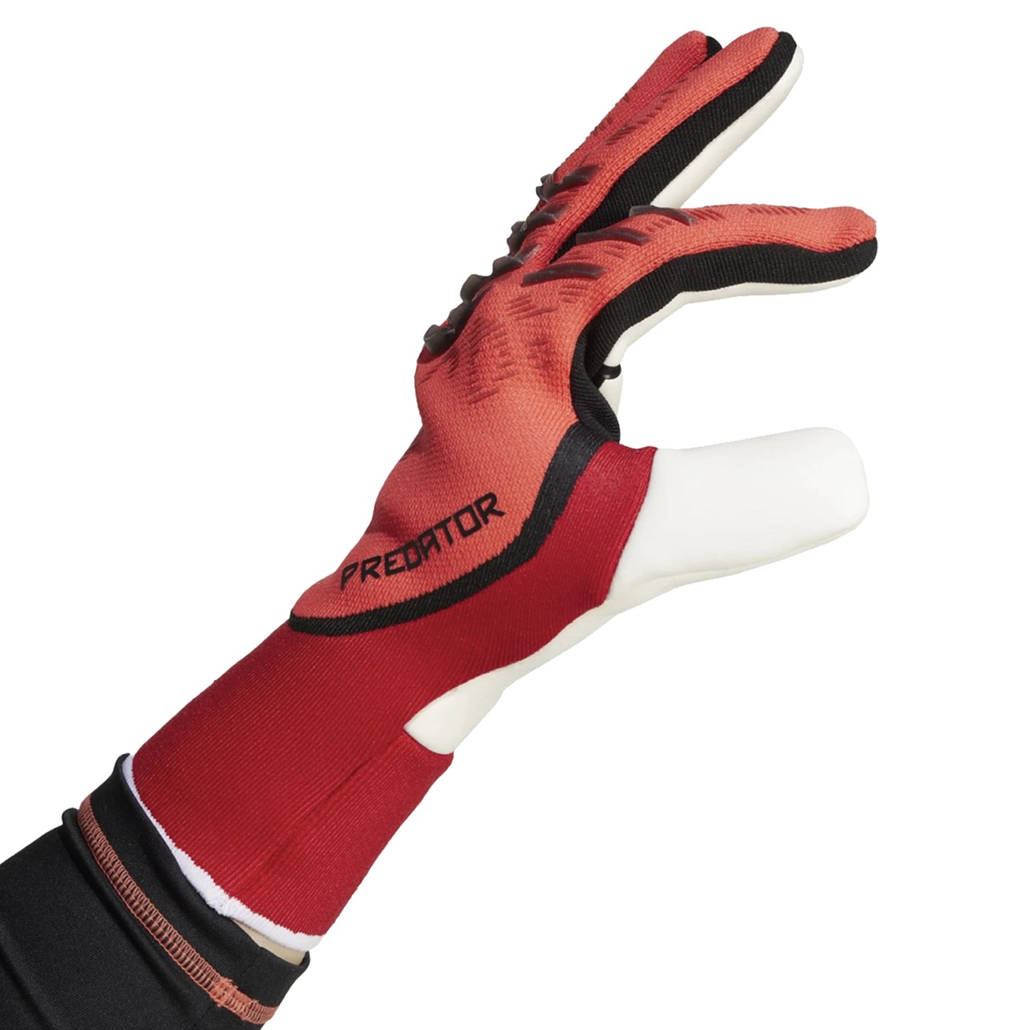 Guanti da portiere Predator Pro