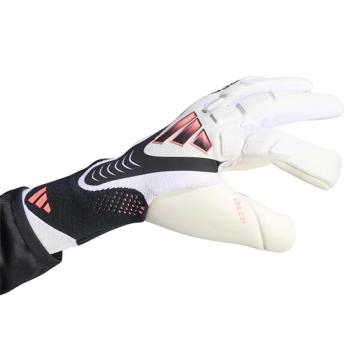 Guanti da portiere Predator Pro