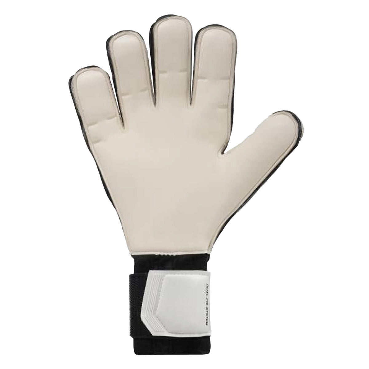 Guanti da portiere FM Absolutgrip Flex Frame Carbon