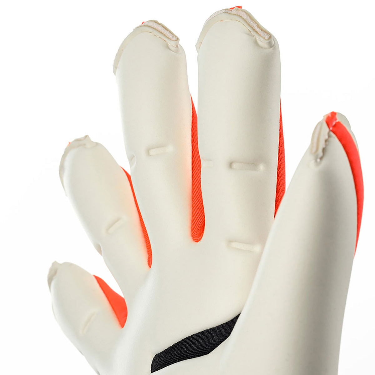 Guanti da portiere Fangmaschine Absolutgrip HYBD