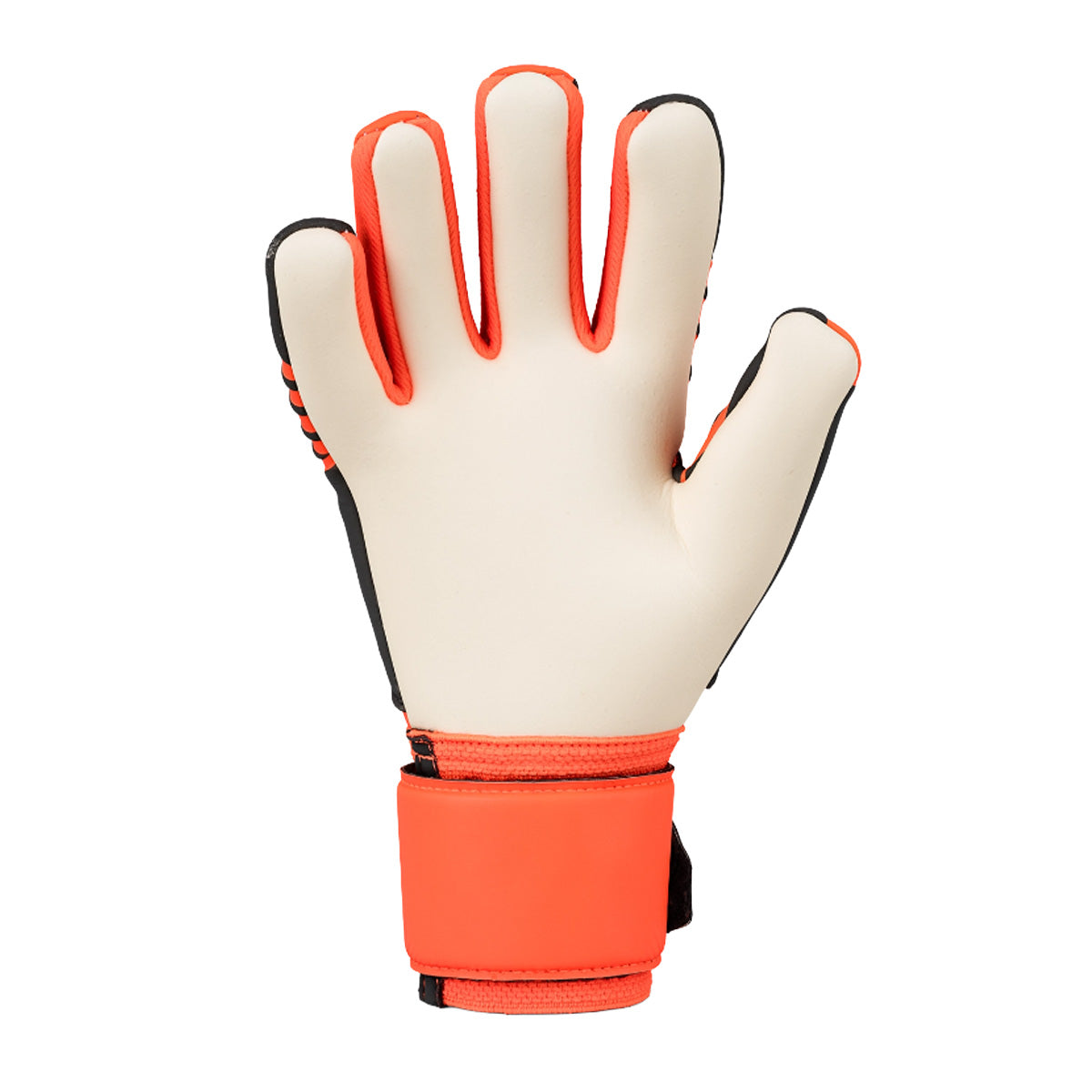 Guanti da portiere Fangmaschine Absolutgrip HN Pro Junior