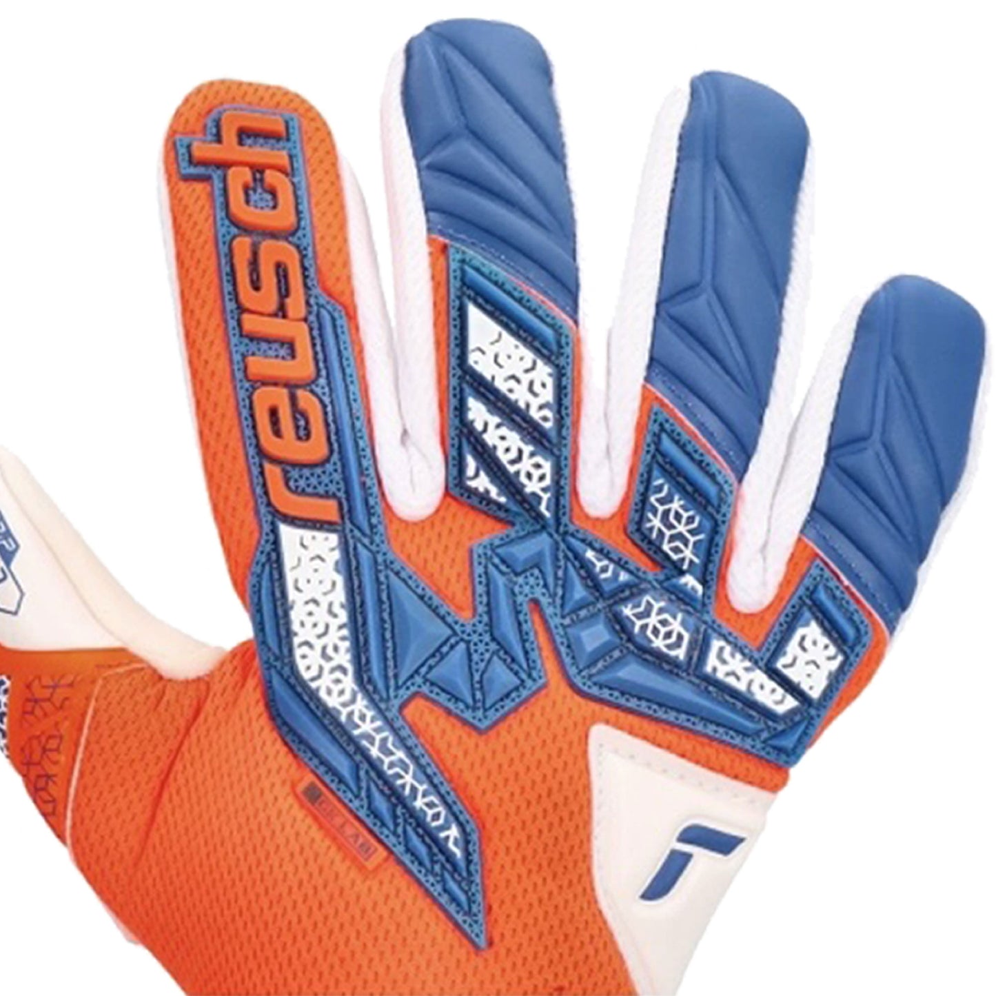 Guanti da portiere Attrakt Freegel Gold NC Junior