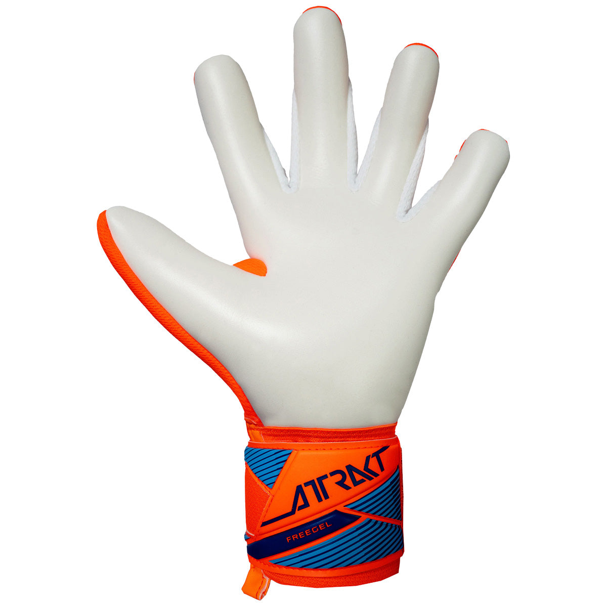 Guanti da portiere Attrakt Freegel Advance