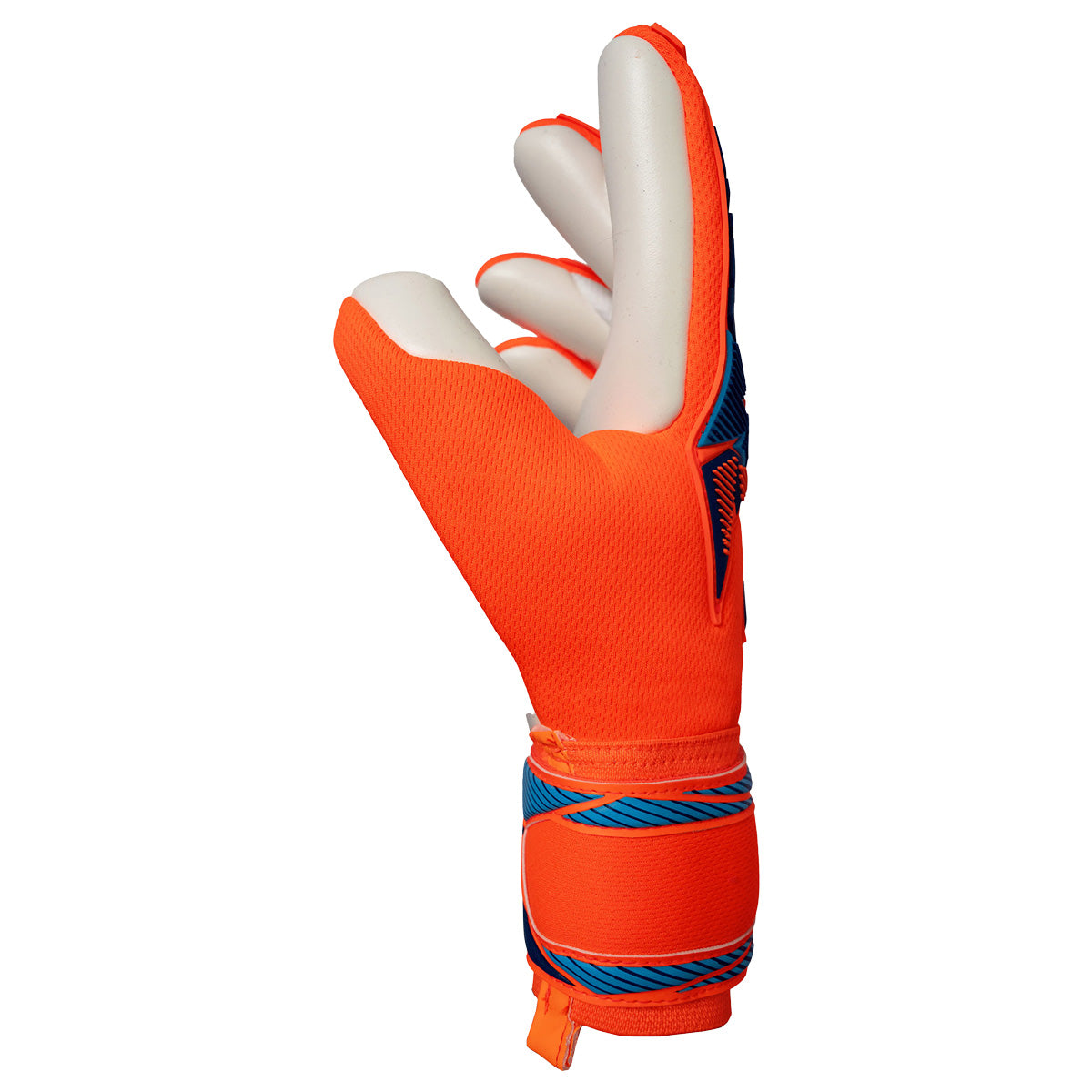 Guanti da portiere Attrakt Freegel Advance