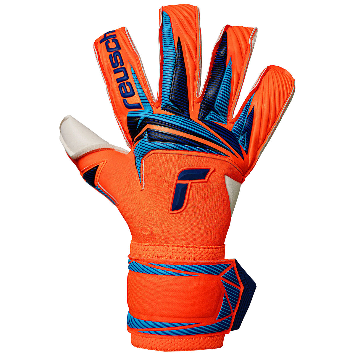 Guanti da portiere Attrakt Gold X Evolution