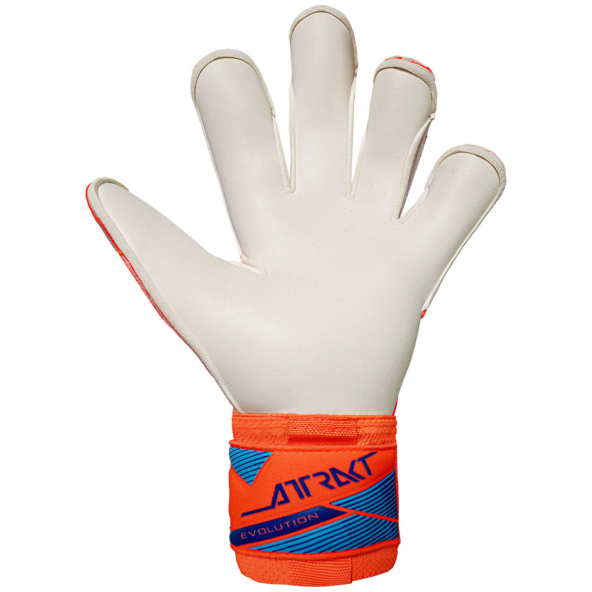 Guanti da portiere Attrakt Gold X Evolution