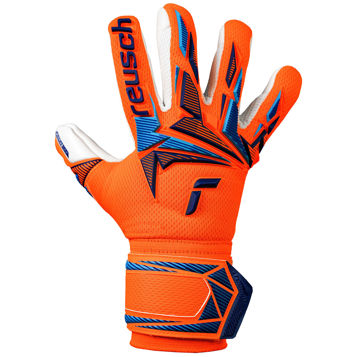 Guanti da portiere Attrakt Freegel Advance Junior