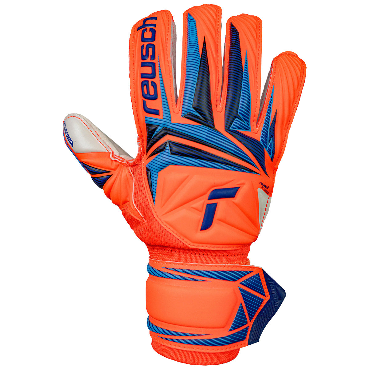 Guanti da portiere Attrakt Advance Junior