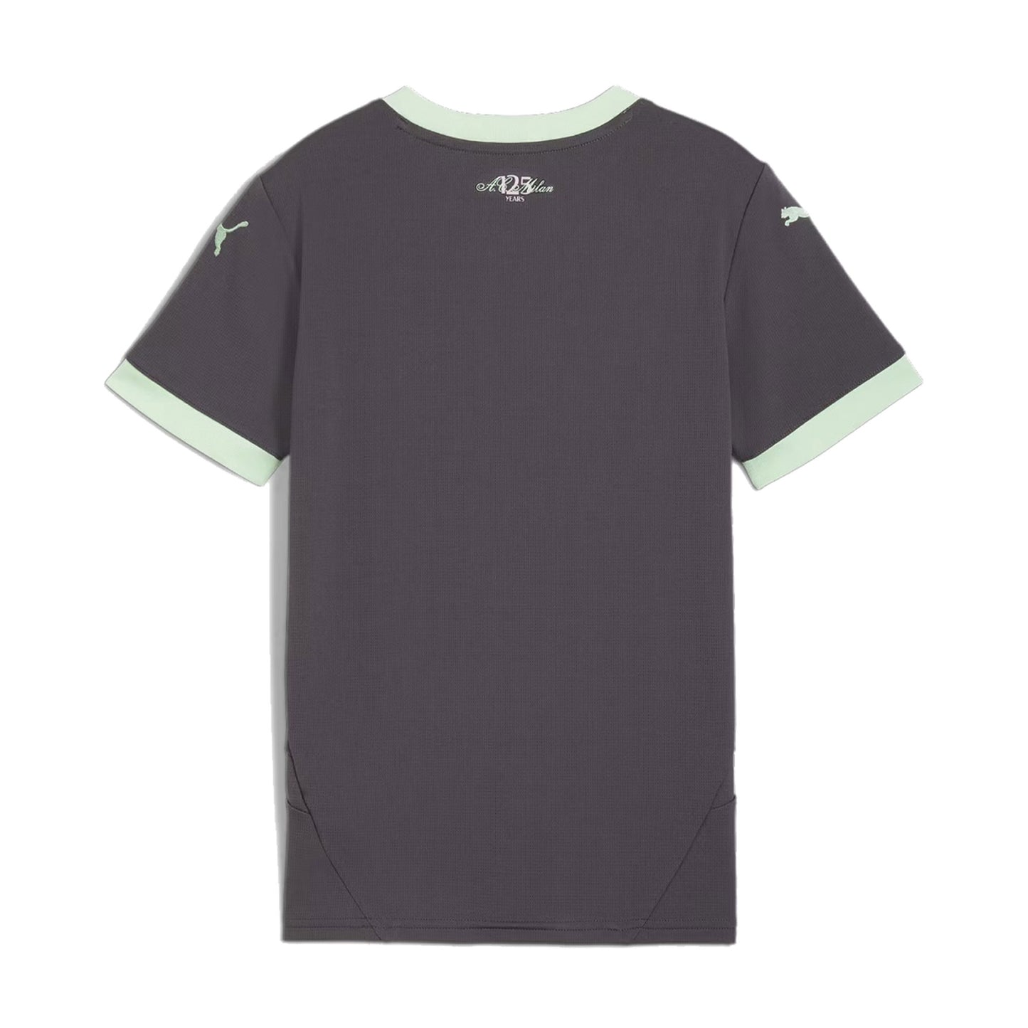 Milan 3a Maglia 24/25 Adulto