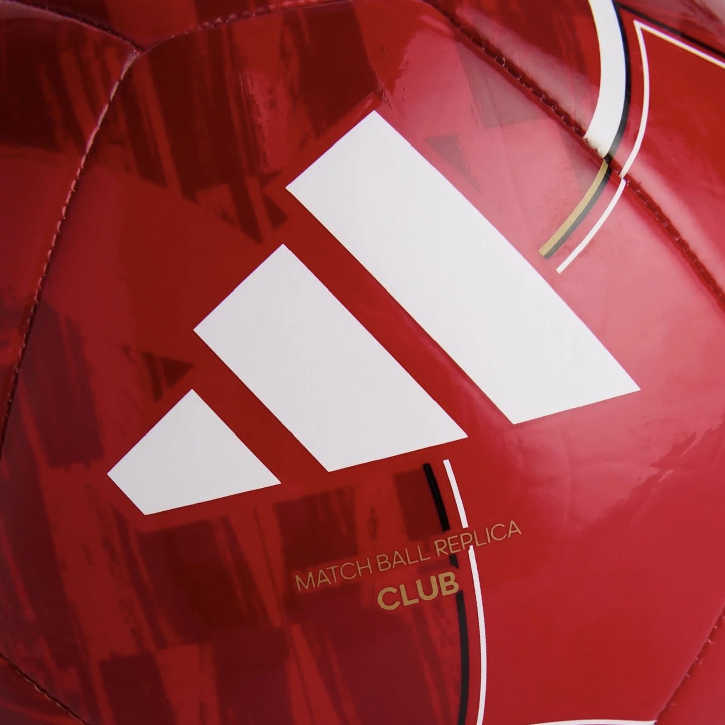 Manchester United Pallone Club