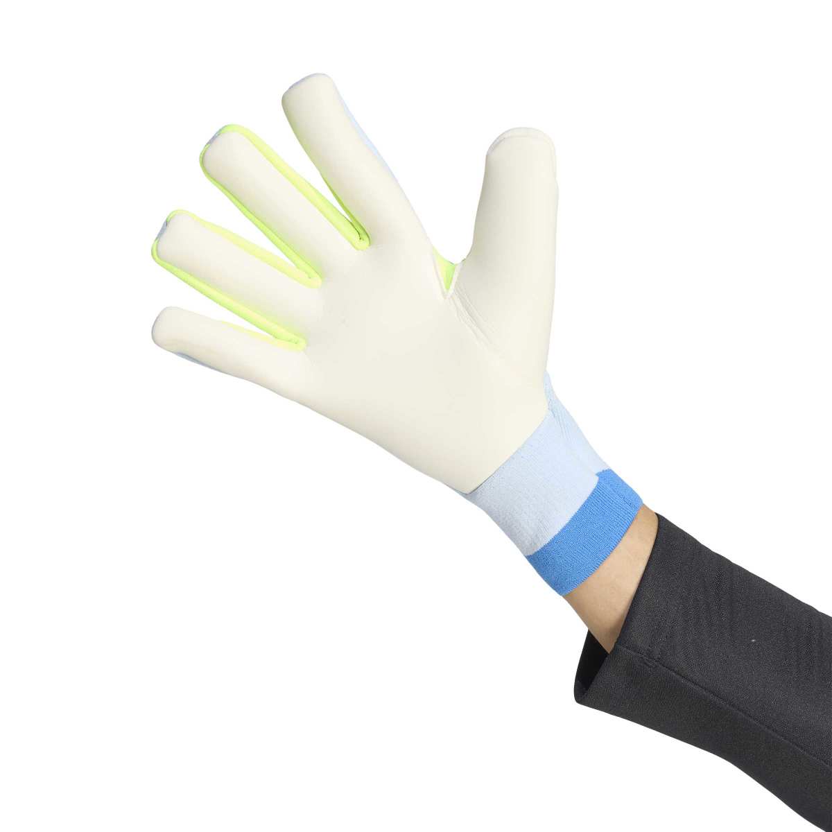 Guanti da portiere Predator Pro