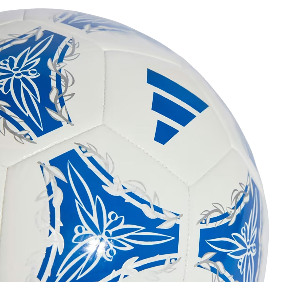 Argentina Pallone Club