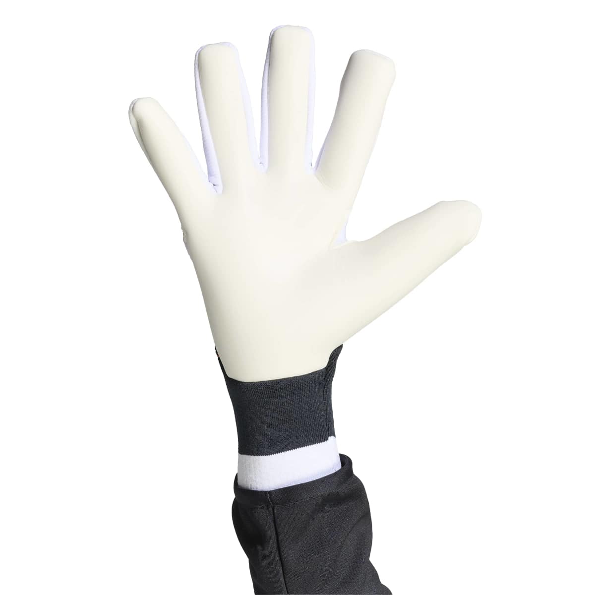 Guanti da portiere Predator Pro
