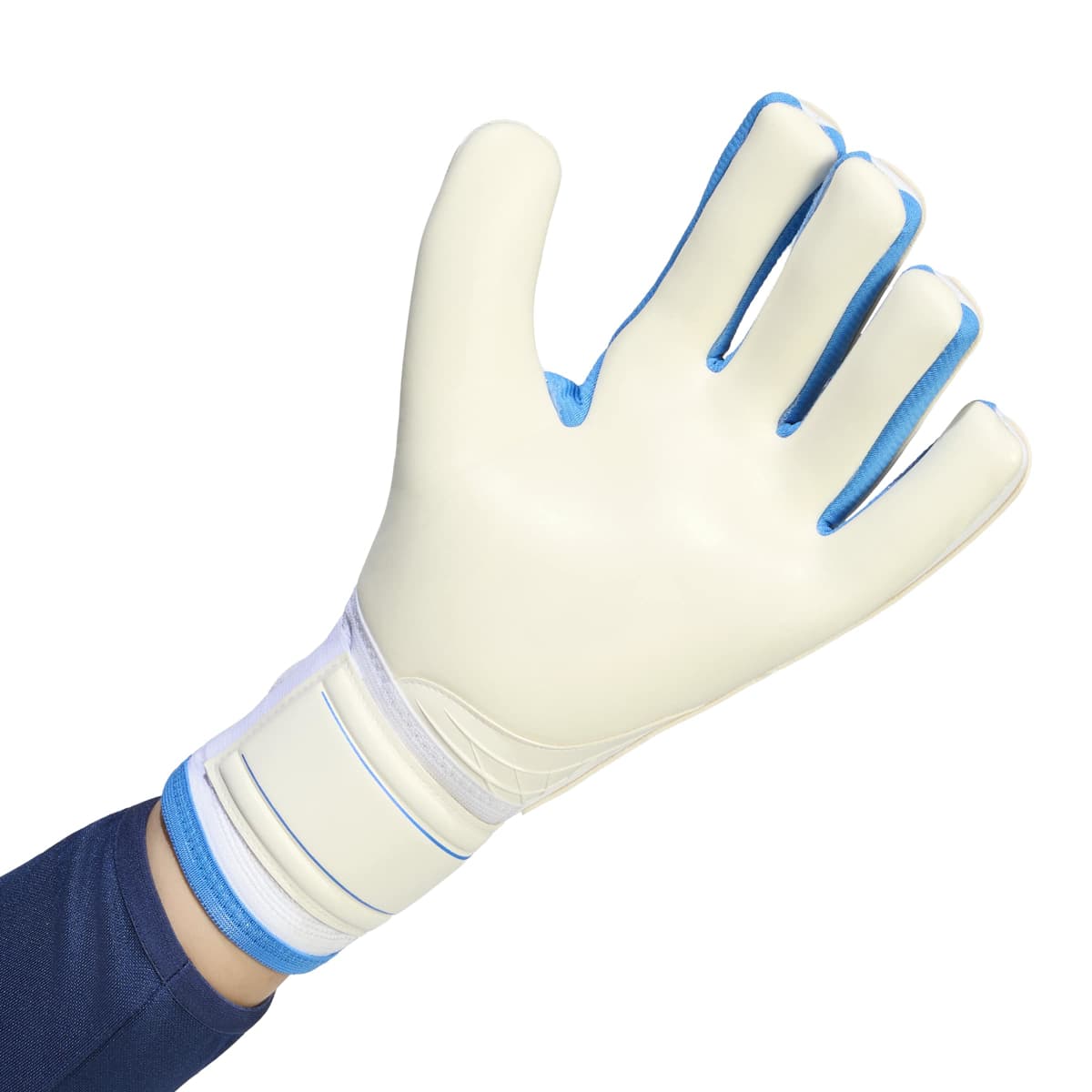 Guanti da portiere Copa Pro