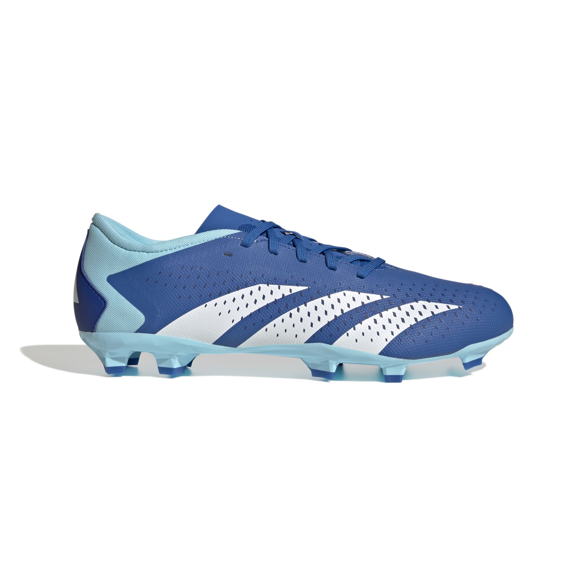 Scarpe predator blu outlet