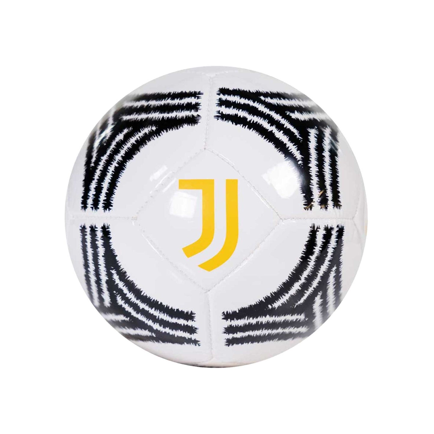 Juventus Pallone Club 23/24